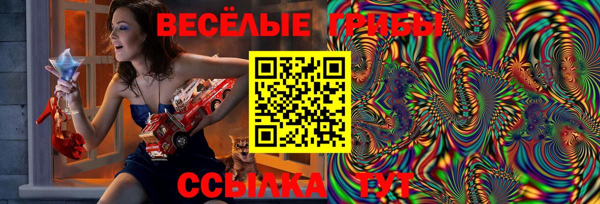 Галлюциногенные грибы мицелий  Вход с VPN  Вятские Поляны 